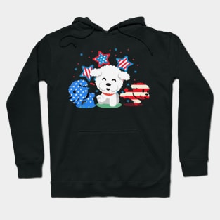 Cute Red White Blue Bichon Frise Fireworks Us Flag Hoodie